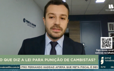 Cambistas devem ser punidos pela lei? Advogado criminalista comenta
